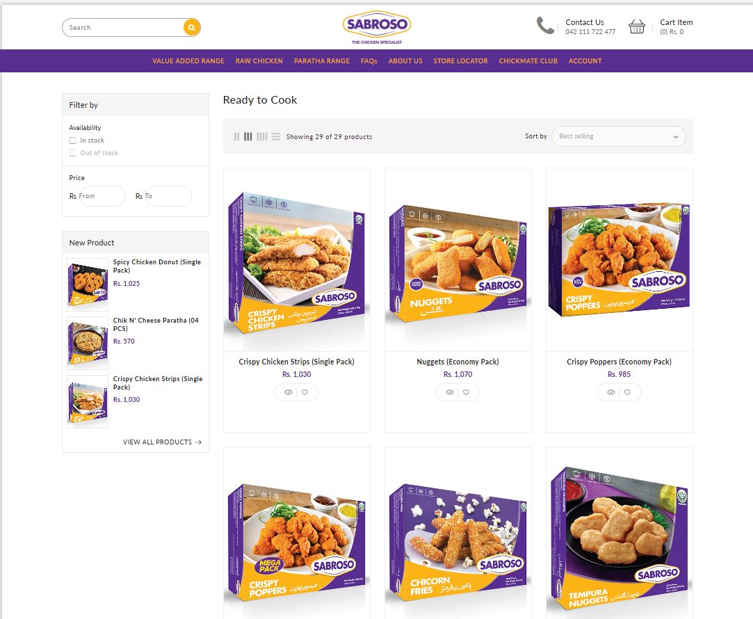 web development services example1